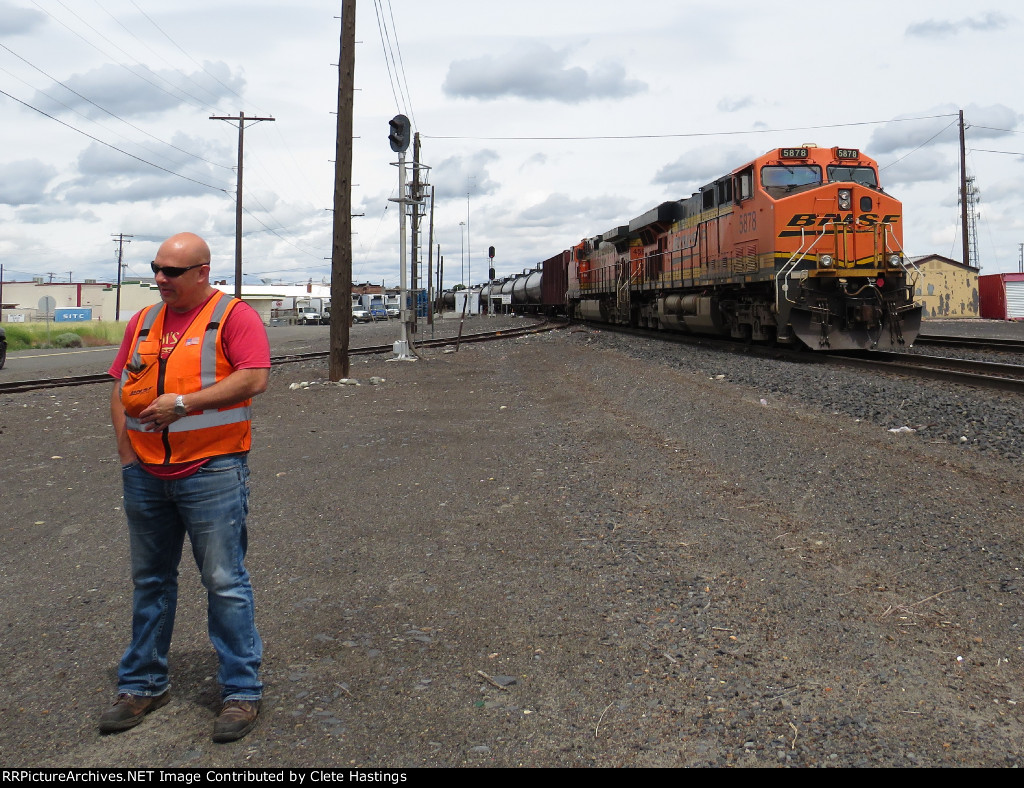 Engineer and his train